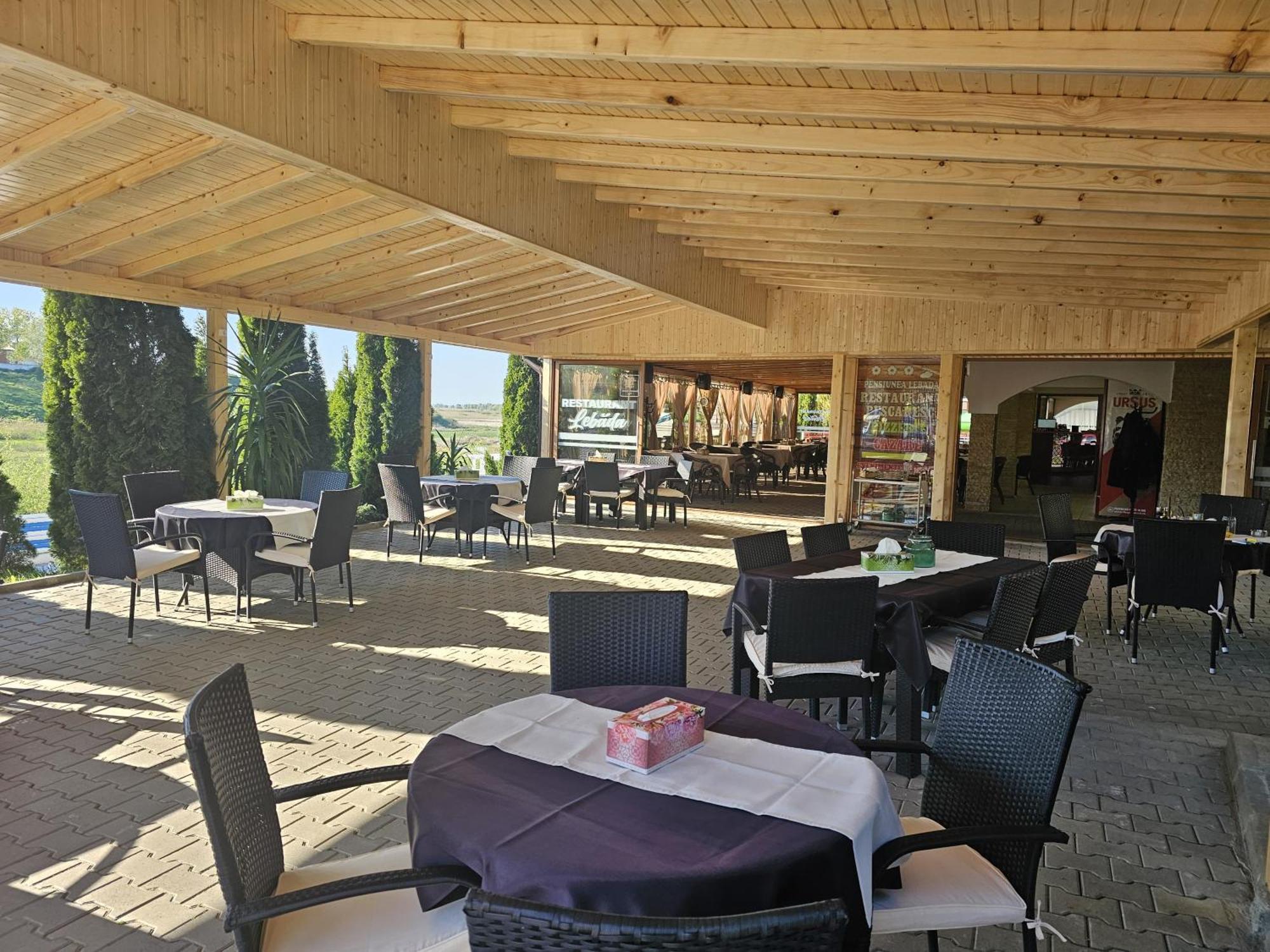 Pensiunea Lebada Tulcea Exterior photo